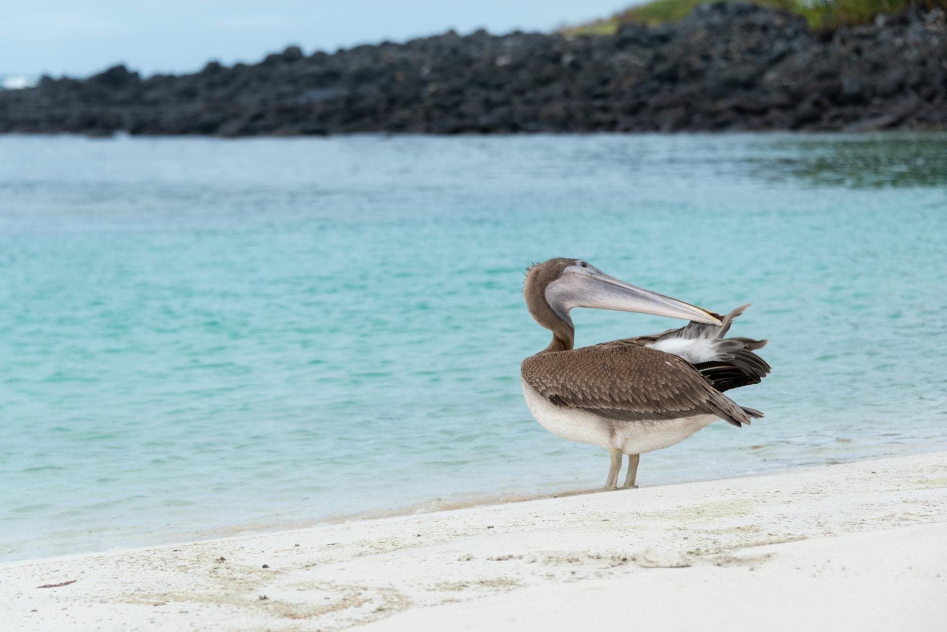 Galapagos Islands, Ecuador