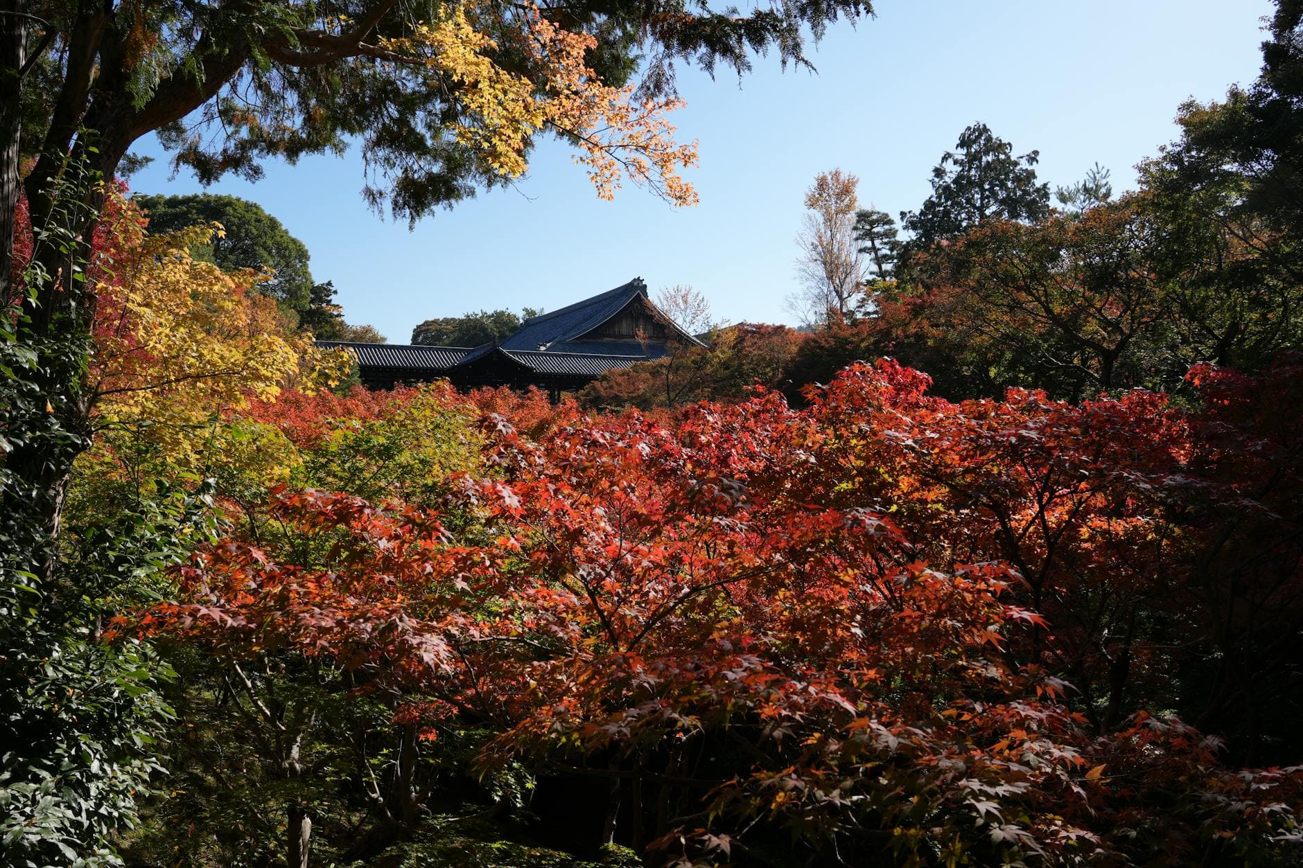 Kyoto, Japan