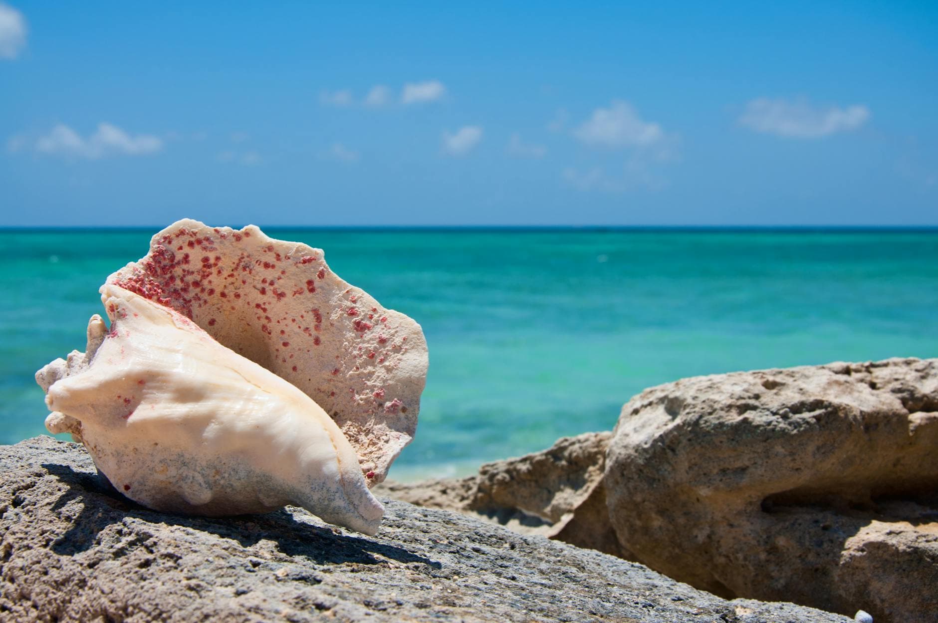 Turks & Caicos, Caribbean